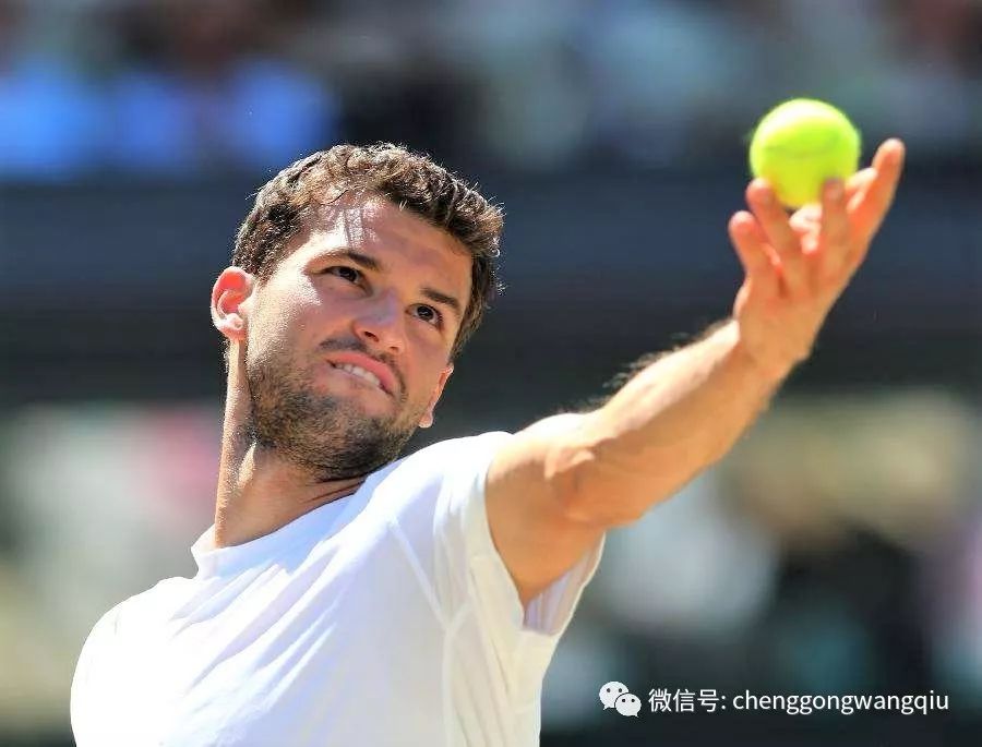 为马术生态 为马术生态