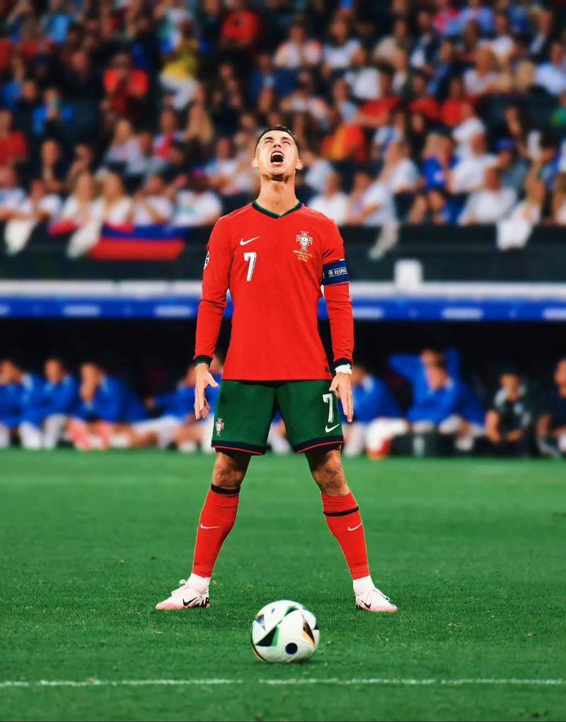 临时启用拉 临时启用拉