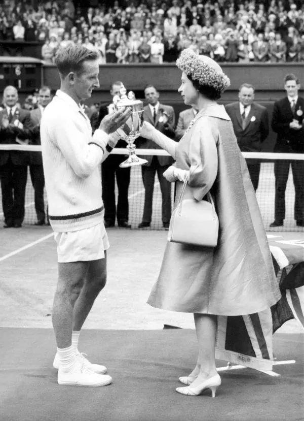 网球领域的 网球领域的